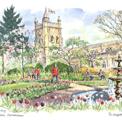 Paul Chappell: Amersham Memorial Gdns, Bloomers