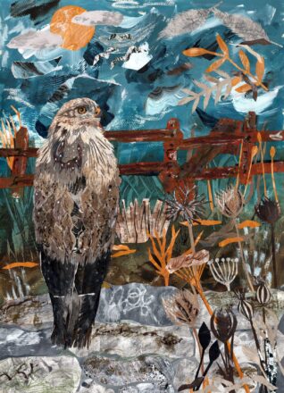 The Watchful Buzzard