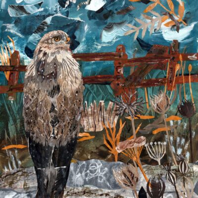 Hayley Noakes - Fig Tree Studio: The Watchful Buzzard