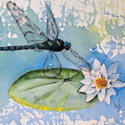 Wendy Hopcroft: "Dragonfly Flyby" 380 x 260mm watercolour