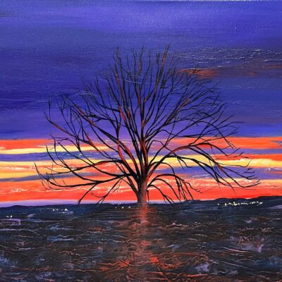 Field View Studio: Evening Sentinel