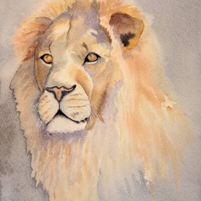 Wendy Hopcroft: "Focused" 180 x 260mm watercolour