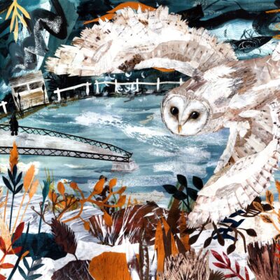 Hayley Noakes - Fig Tree Studio: Foxcote Owl