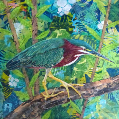 Linda Travers Smith: Green Heron Mixed Media Collage