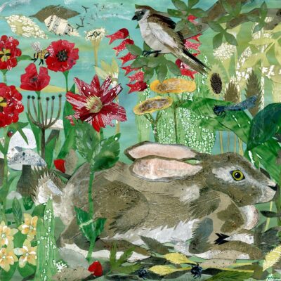 Hayley Noakes - Fig Tree Studio: Hunkered Down Hare
