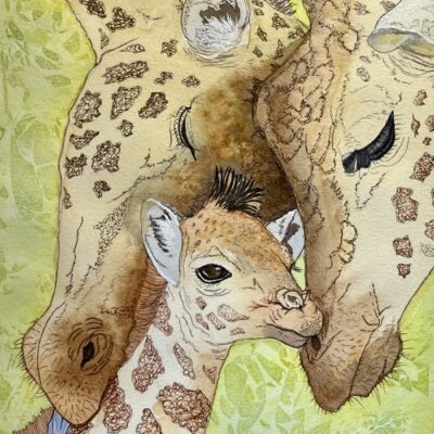 Tracey Ebbs: 