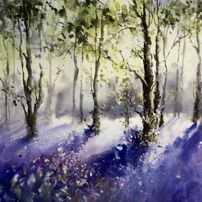 Nicky Hunter: Sundrenched bluebells