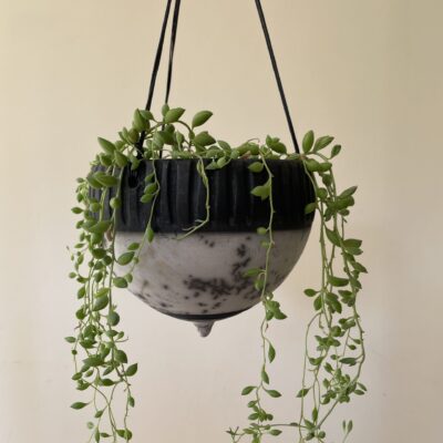 Fiona Wilcock: Naked raku planter. Stoneware