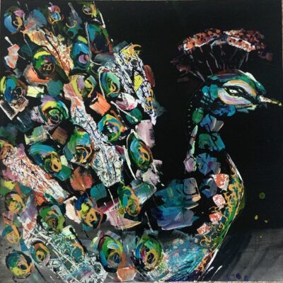 Fiona Ryan-Watson: Irish Peacock - mixed media peacock emerging from solid black background