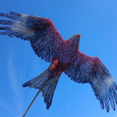 Lindsay Neale Waring - Sculptor: “Red Kite In Flight” is my second Red Kite. I am currently working on the third which will be a public sculpture to highlight the fight of the demolition of my home village for the third airport which was proposed in 1969-1971. If that proposal had gone ahead three villages would have been raised to the ground and Red Kites would never have graced our sky in that area. This sculpture now resides in Devon in the private home of an Art Collector.