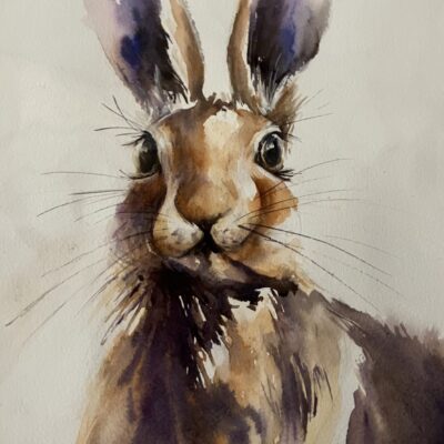 Nicky Hunter: Characterful Hare
