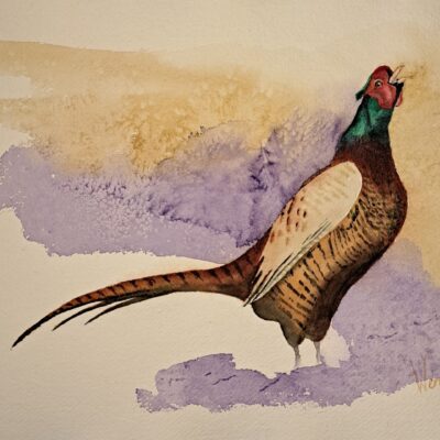 Wendy Hopcroft: "Love Language" 380 x 260mm watercolour