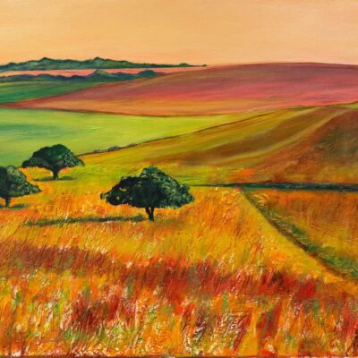 Field View Studio: Light Below the Ridge