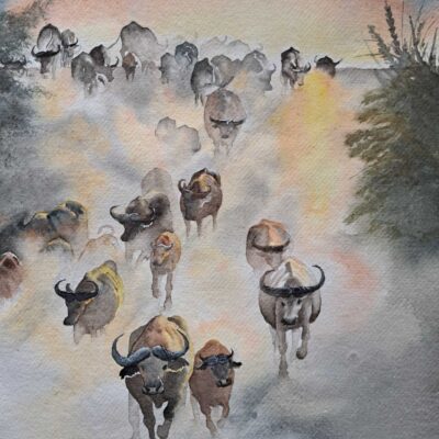 Wendy Hopcroft: "Out of the Light" 390 x 260mm watercolour