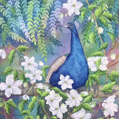 Linda Travers Smith: Peacock & Clematis Watercolour