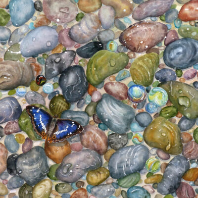 Linda Travers Smith: Pebbles & Purple Emperor Watercolour