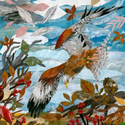 Hayley Noakes - Fig Tree Studio: Red Kite Descending