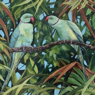 Linda Travers Smith: Ring Necked Parakeets Acrylic