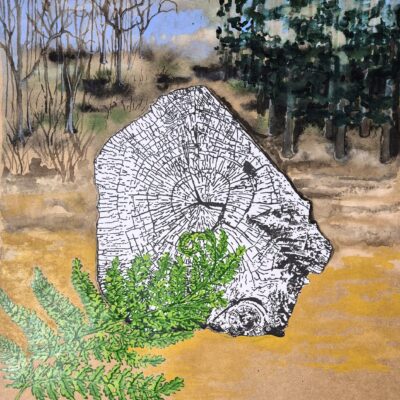 Vonnie Raw (a.k.a. Cogbeetle art): Tree #5 Aspley Woods