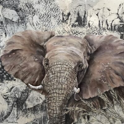 Linda Travers Smith: Young Bull at Tuli Mixed Media Collage